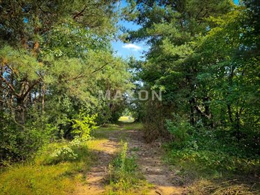 działka na sprzedaż 1000m2 działka Kruczy Borek