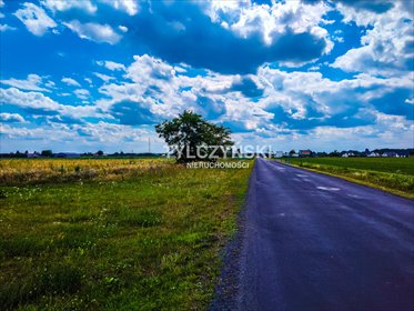 działka na sprzedaż 37700m2 działka Chlebnia