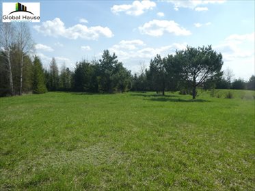 Działka inna na sprzedaż Bałamutowo 1 500m2 Foto 3