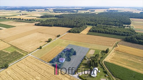 Dom na sprzedaż Zawady 300m2 Foto 4