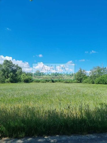 Działka 5500 m2 z mediami i możliwością podziału działka Jaktorów-Kolonia