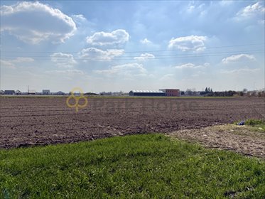 Działka rolna 1,08 ha z dojazdem gruntowym w Rawiczu działka Rawicz, Tysiąclecia