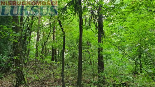 działka na sprzedaż 1673m2 działka Konstancin-Jeziorna, Królewska Góra