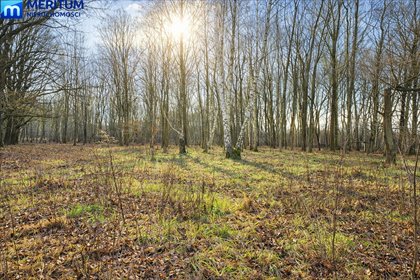 działka na sprzedaż 2000m2 działka Milanówek