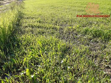 Działka inna na sprzedaż Rybnik, Zebrzydowice 2 373m2 Foto 1