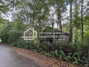 działka na sprzedaż 33200m2 działka Łapino