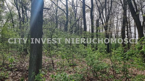 działka na sprzedaż 1999m2 działka Buchałów