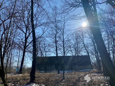 działka na sprzedaż 8600m2 działka Regulice