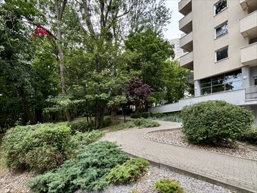 mieszkanie na wynajem 49m2 mieszkanie Gdynia, Redłowo, Legionów
