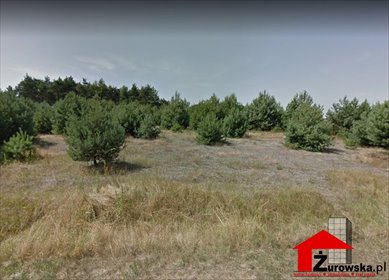 Działka rolno-leśna 3,6 ha w Morsku - idealne siedlisko działka Morsko