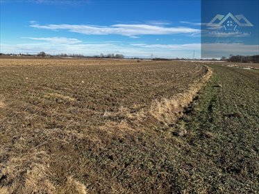 działka na sprzedaż 57000m2 działka Biskupice Radłowskie