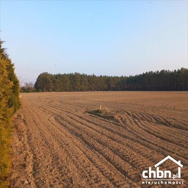 działka na sprzedaż 1369m2 działka Sucha