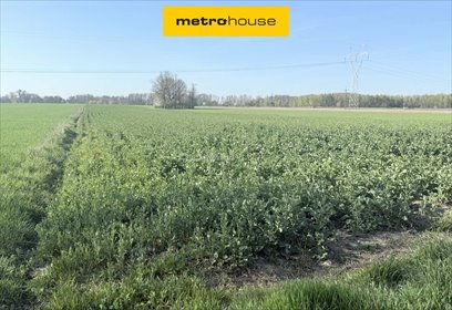 lokal użytkowy na sprzedaż 42800m2 lokal użytkowy Krubin