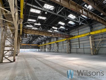 lokal użytkowy na wynajem 1100m2 lokal użytkowy Warszawa