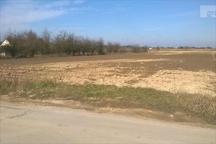 Działka budowlana na sprzedaż Zemborzyce Tereszyńskie, Konopnica 3 400m2 Foto 2