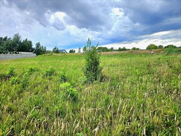 działka na sprzedaż 1906m2 działka Dębno, Chojeńska