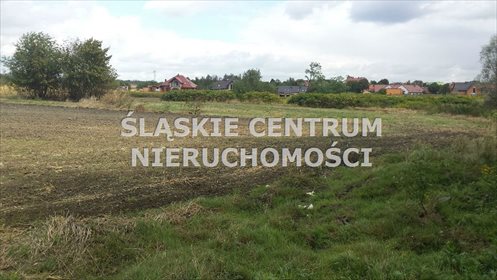 działka na sprzedaż 32420m2 działka Zabrze, Biskupice, Kasprowicza