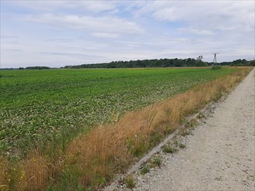 działka na sprzedaż 10620m2 działka Krzyków