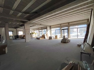 Lokal użytkowy 240 m² w Golubiu-Dobrzyniu (duże witryny) lokal użytkowy Golub Dobrzyń