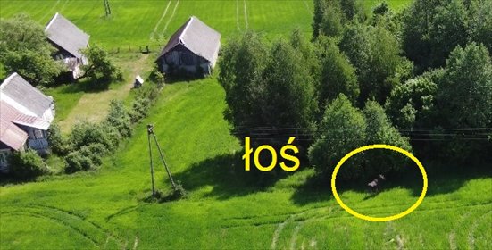 działka na sprzedaż 85833m2 działka Sokółka