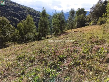 działka na sprzedaż 3100m2 działka ZAWOJA