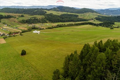 działka na sprzedaż 18603m2 działka Łapsze Niżne, Wiejska