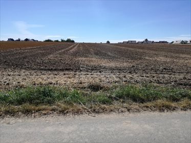 Działka rolna na sprzedaż Milikowice 19 400m2 Foto 2