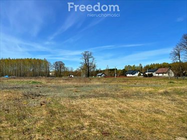 Działka 7906 m² z lasem i możliwością budowy - polecam działka Kalinowo