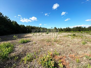 działka na sprzedaż 3096m2 działka Popielżyn-Zawady