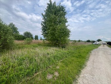 działka na sprzedaż 15500m2 działka Wiązowna, Księżycowa