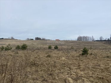 działka na sprzedaż 30000m2 działka Wójtowo