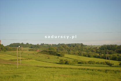 Działka leśna na sprzedaż Aleksandrów 50 000m2 Foto 7