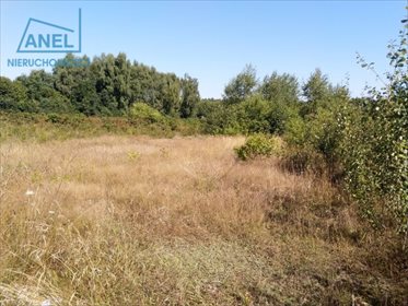 Działka inna pod dzierżawę Mikołów, Borowa Wieś 541m2 Foto 4