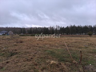 działka na sprzedaż 1500m2 działka Budy Głogowskie