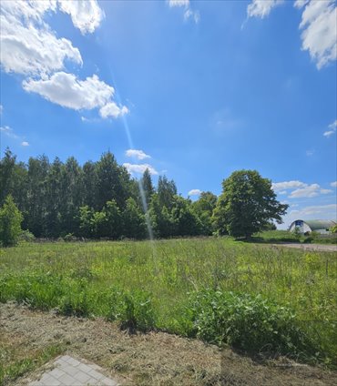 działka na sprzedaż 2300m2 działka Bramki