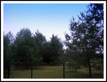 działka na sprzedaż 3000m2 działka Łazy