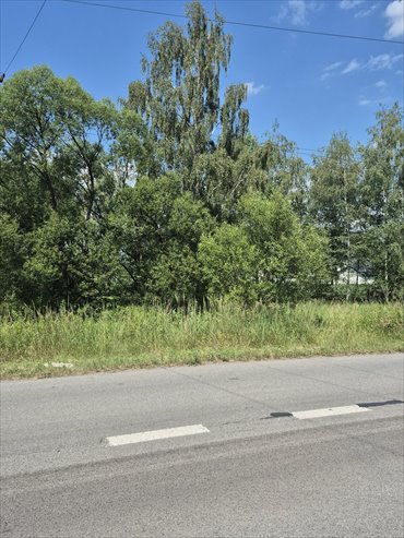 Działka 1345 m² w Pyskowicach (blisko drogi głównej) działka Pyskowice, wiejska