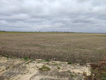 działka na sprzedaż 11596m2 działka Włoszczowa, Ewina