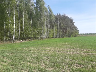 działka na sprzedaż Suchodół Tarczyn 4390 m2