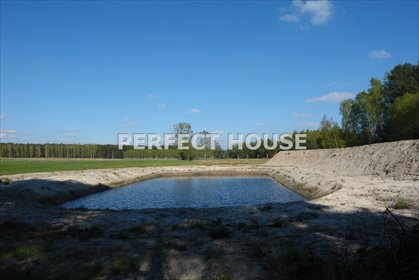 Działka rolna na sprzedaż Zajączkowo 70 600m2 Foto 6