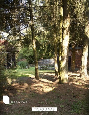 działka na sprzedaż 15266m2 działka Helenów