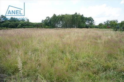 Działka inna pod dzierżawę Mikołów, Borowa Wieś 541m2 Foto 3
