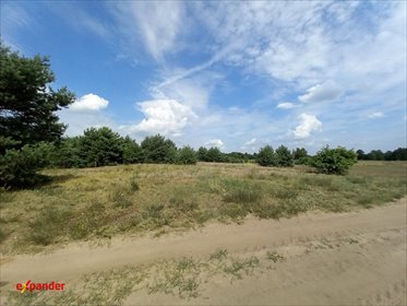 działka na sprzedaż 800m2 działka Wólka