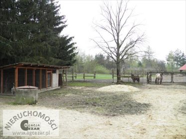 Magazyn na sprzedaż Jakubów 300m2 Foto 3