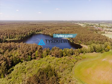 działka na sprzedaż 4500m2 działka Sarnowy