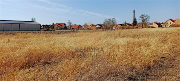 działka na sprzedaż 4266m2 działka Bielawa