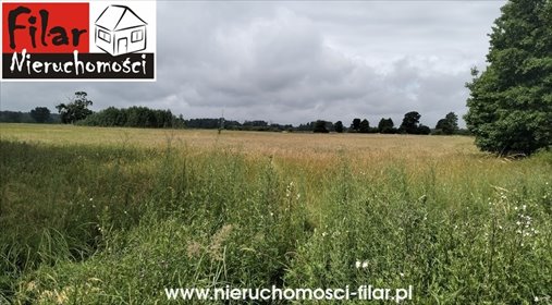 Polecam dużą działkę 20 000 m² w Słońsku z możliwością podziału działka Słońsko