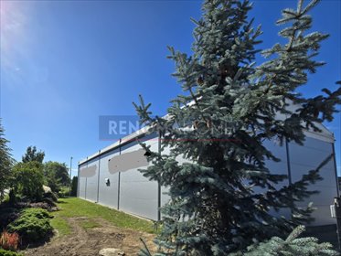 lokal użytkowy na wynajem 230m2 lokal użytkowy Kąty Wrocławskie