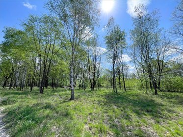 Działka 1720 m2 w Milanówku, cicha i zielona okolica działka Milanówek