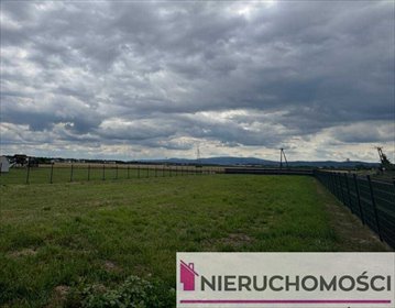 działka na sprzedaż 1583m2 działka Pszenno